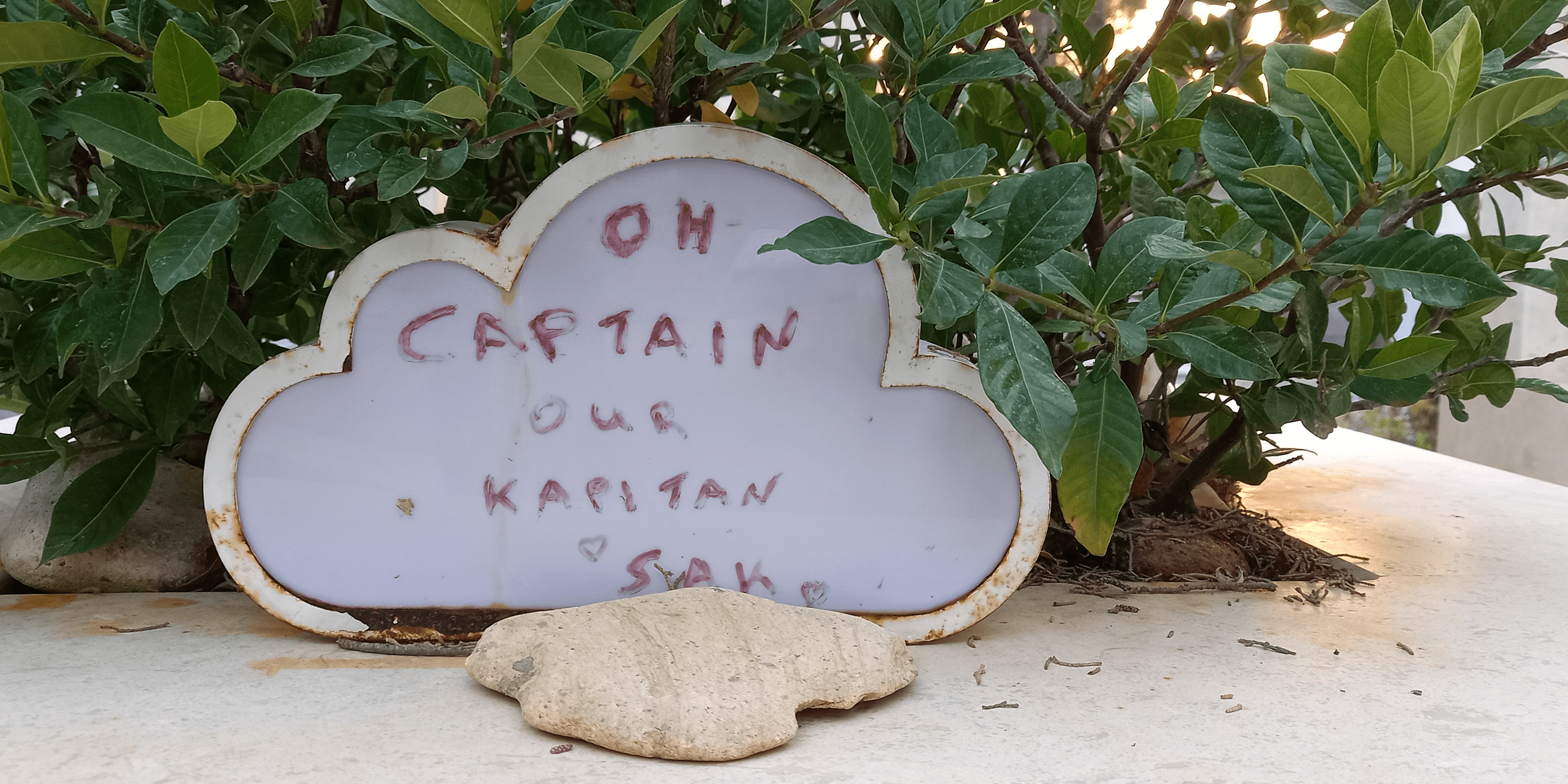 captain