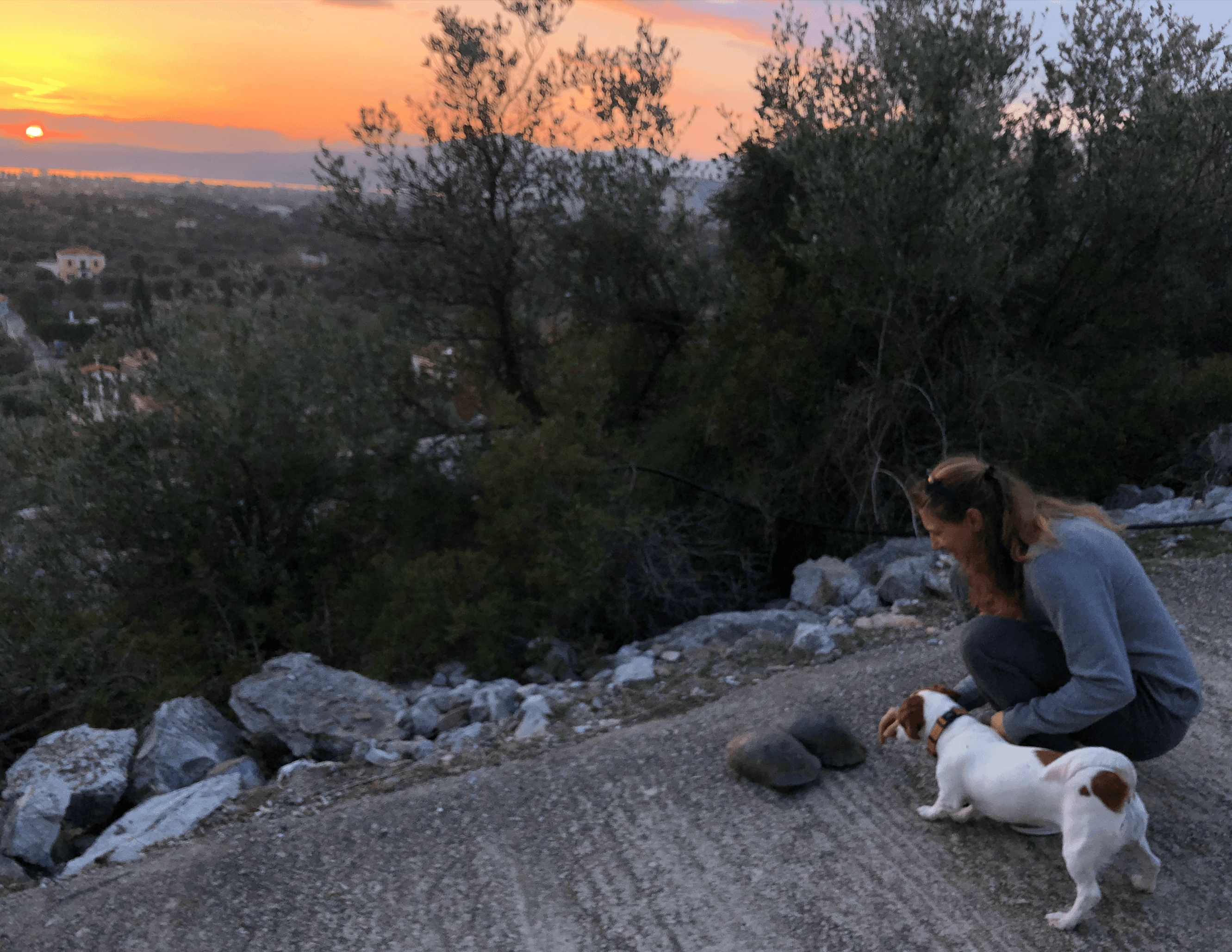 sunset
